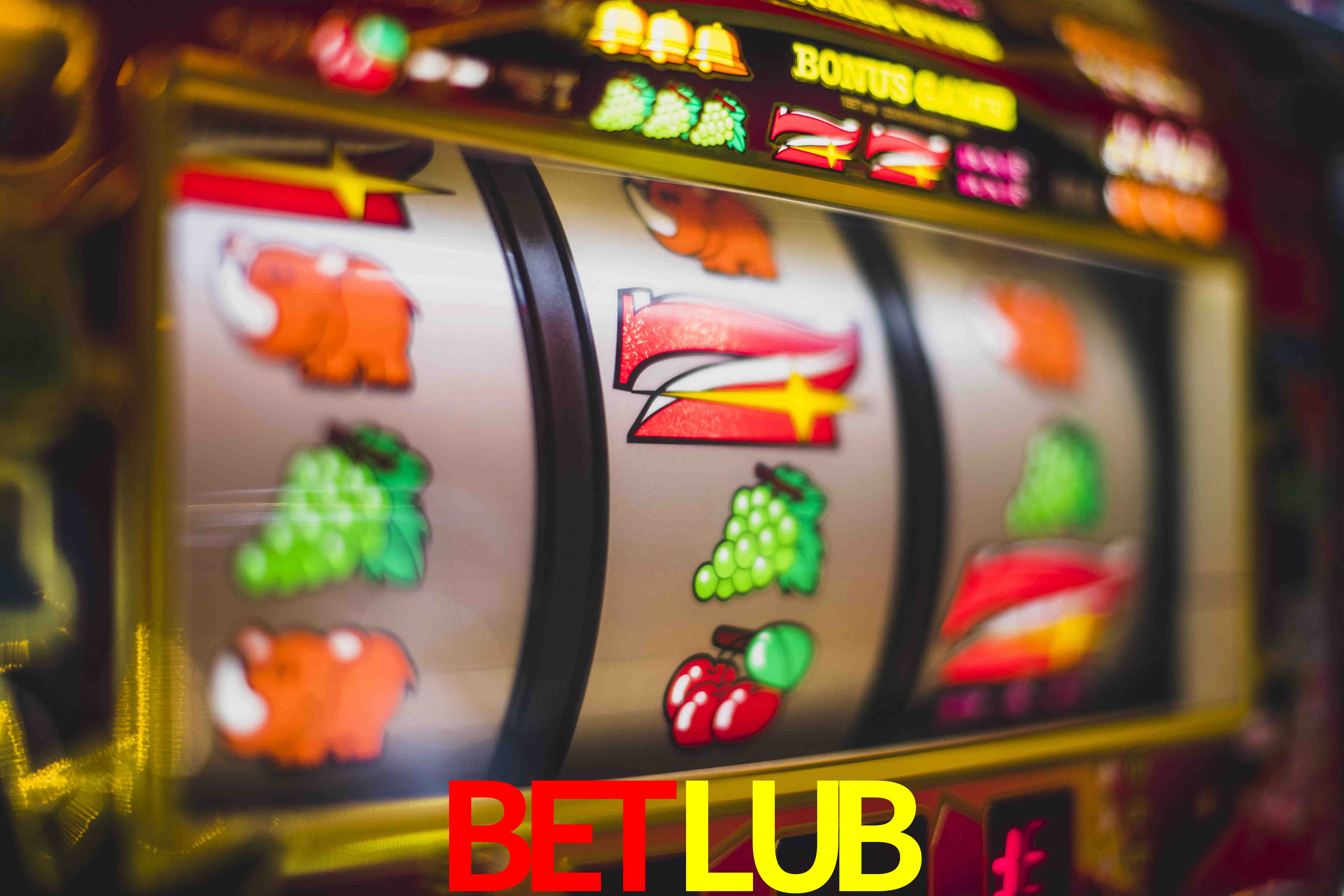 Live Casino BETLUB